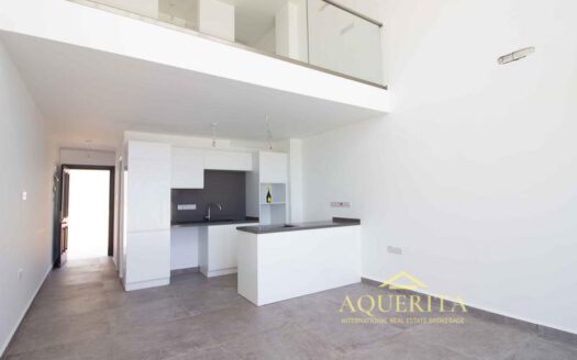 1 Bedroom Duplex Loft Penthouse Apartment with Roof Terrace in BAHCELI Kyrenia North Cyprus