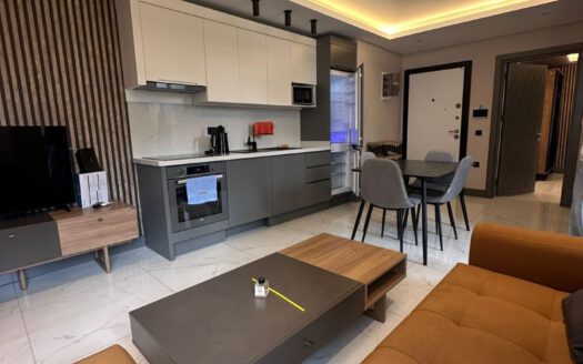 Furnished 2 Room Flat for Sale in ALANYA City Centre Turkey